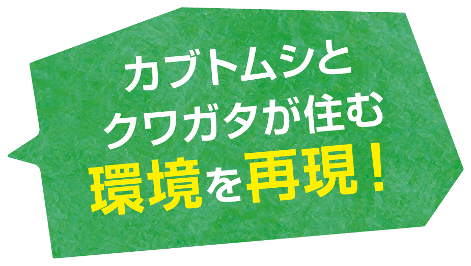 カブトムシとクワガタが住む環境を再現!